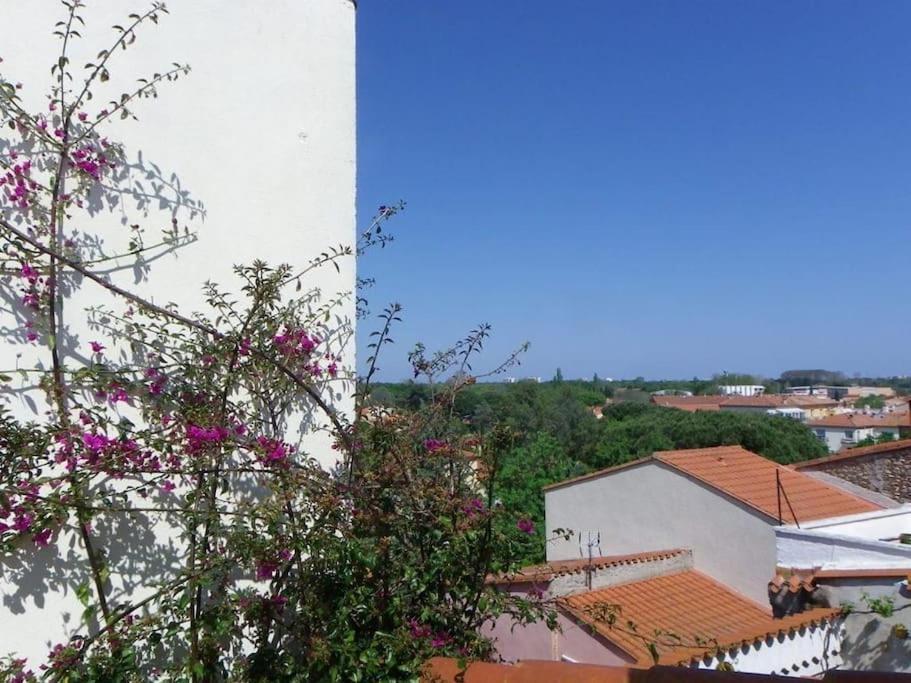 Rosella - Maison De Charme Au Coeur Du Village Argelès-sur-Mer Buitenkant foto